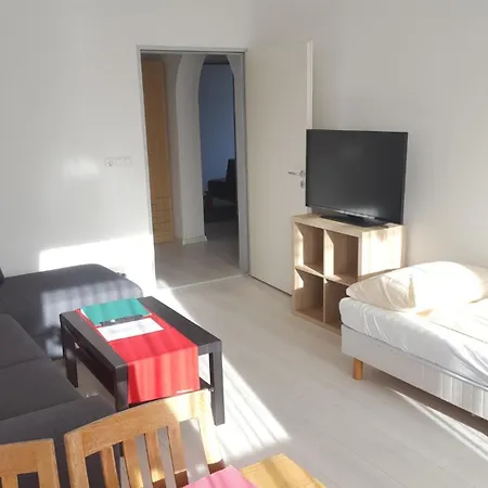 Apartmenthaus Salzburger Hof 巴特莱辛哈尔