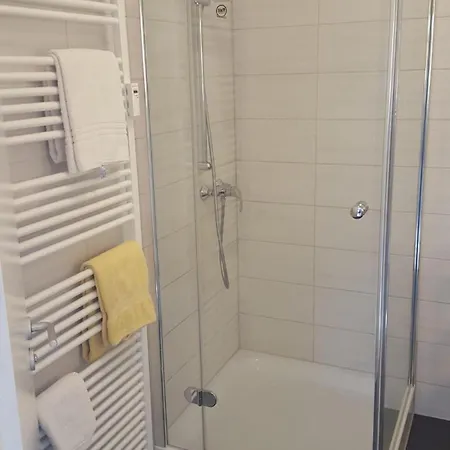 公寓 Apartmenthaus Salzburger Hof 巴特莱辛哈尔