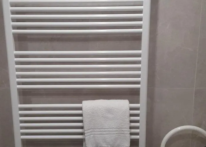 Apartmenthaus Salzburger Hof 公寓 巴特莱辛哈尔