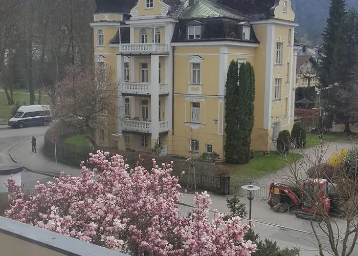 Apartmenthaus Salzburger Hof 公寓 巴特莱辛哈尔